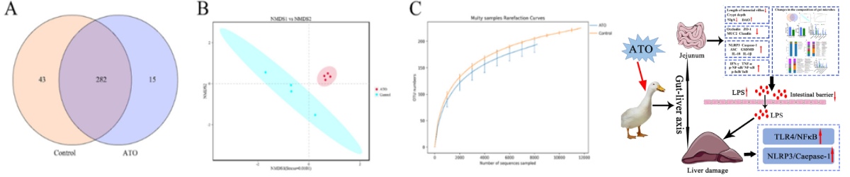 GT4C301B真空封口機